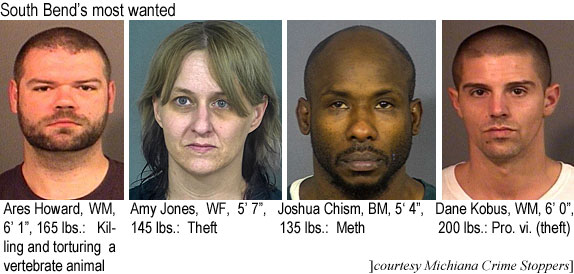 amyjones.jpg South Bend's most wanted: Ares Howard, WM, 6'1", 165 lbs, killing & torturing a vertebrate animal; Amy Jones,WF, 5'7", 145 lbs, theft; Joshua Chism, BM, 5'4", 135 lbs, meth; Dane Kobus, WM, 6'0", 200 lbs, pro. vi. (theft) (Michiana Crime Stoppers)