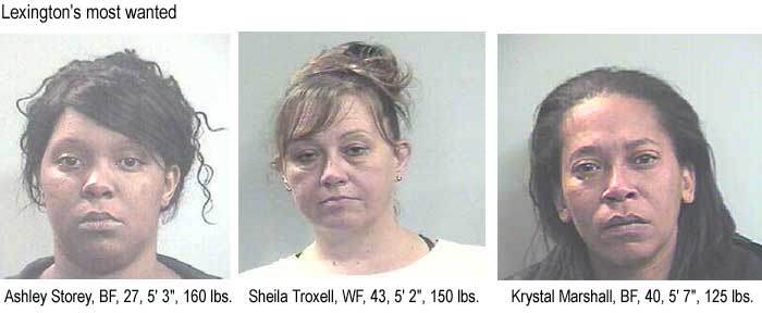 Lexington's most wanted: Ashley Storey, BF, 27, 5'3", 160 lbs; Sheila Troxell, WF, 43, 5'2", 150 lba; Krystal Marshall, BF, 40, 5'7", 125 lbs