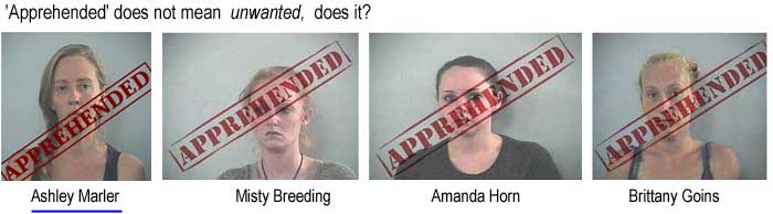 'Apprehended' does not mean unwanted, does it? Ashley Marler, Misty Breeding, Amanda Horn, Brittany Goins