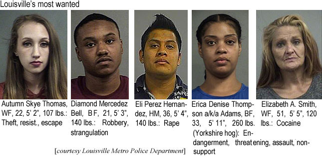 autumsky.jpg Louisville's most wanted: Autumn Skye Thomas, WF, 22, 5'2", 107 lbs, theft, resist., escape; Diamond MercedezBell, BF, 21, 5'3", 140 lbs., robbery, strangulation; Eli Perez Hernandez, HM, 36, 5'4", 140 lbs, rape; Erica Denise Thompson a/k/a Adams, BF, 33, 5'11", 260 lbs (Yorkshire hog), endangerment, thrreatening, assault, nonsupport; Elizabeth A. Smith, WF, 51, 5'5", 120 lbs, cocaine (Louisville Metro Police Department)