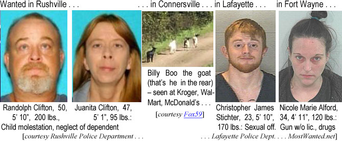 billyboo.jpg Wanted in Rushville . . . Randolph Clifton, 50, 5'10", 200 lbs, Juanita Clifton, 37, 5'1", 95 lbs, child molestation, neglect of dependent; in Connersville . . . Billy Boo the Goat  (that's he in the rear), seen at Kroger, Wal-Mart, McDonald's, in Lafeyette . . . Christopher James Stichter, 23, 5'10", 170 lbs, sexual of., in Fort Wayne . . . Nicole Marie Alford, 34, 4'11", 120 lbs, gun w/o lic., drugs (Rushville Police Department, Fox59, Lafayette Police Dept., MostWanted.net)