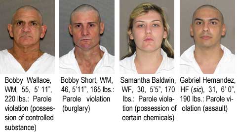 Bobby Wallace, WM, 55, 5'11", 220 lbs, parole violation (possession of controlled substance); Bobby Short, WM, 46, 5'11", 165 lbs, parole violation (burglary); Samantha Baldwin, WF, 30, 5'5", 170 lbs, parole violation (possession of certain chemicals); Gabriel Hernandez, HF (sic), 31, 6'0", 190 lbs, parole violation (assault)