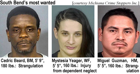 cedbeard.jpg South Bend's most wanted (Michiana Crime Stoppers Inc.): Cedric Beard, BM, 5' 9", 180 lbs, strangulation; Mystessia Yeager, WF, 5'5", 160 lbs, injury from dependent neglect; Miguel Guzman, HM, 5'5", 160 lbs, strangulation