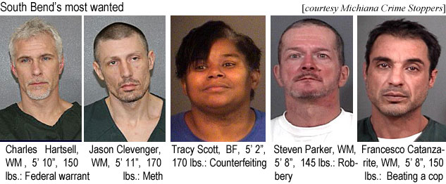 hartsell.jpg South Bend's most wanted (Michiana Crimes Stoppers): charles Hartsell, WM, 5'10", 150 lbs, federal warrant; Jason Clevenger, WM, 5'11", 170 lbs, meth; Tracy Scott, BF, 5'2", 170 lbs, counterfeiting; Steven Parker, WM, 5'8", 145 lbs, robbery; Francesco Catanzarite, WM, 5'8", 150 lbs, beating a cop