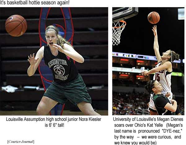 It's basketball hottie season again! Louisville Assumption high school junior Nora Kiesler is 6'6" tall! University of Lousville's Megan Dienes soars over Ohio's Kat Yelle (Megan's last name is pronounced 'DYE-nez,' by the way – we were curious, and we knew you would be (Courier-Journal)