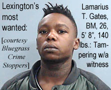 lamariga.jpg Lexington's most wanted: Lamarius T. Gates, BM, 26, 5'8", 140 lbs, tampering w/a witness (Bluegrass Crime Stoppers)