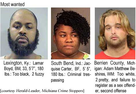 lexsbber.jpg Most wanted: Lexington, Ky., Lamar Boyd, BM, 33, 5'7", 180 lbs, too black, 2 fuzzy; South Bend, Ind., Jacquise Carter, BF, 5'5", 180 lbs, criminal trespassing; Berrien County, Michigan, Adam Matthew Beshires, WM, too white, 2 pretty, and failure to register as a sex offender, second offense (Lexington Herald-Leader, Michaiana Crime Stoppers)