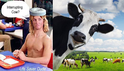 lifemoos.jpg Life Saver Dude: Interrupting cow