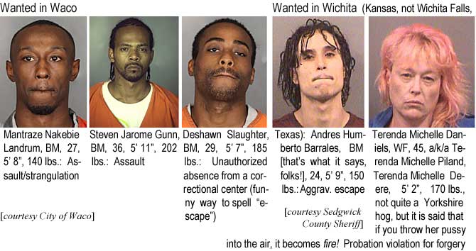 mantraze.jpg Wanted in Waco: Mantraze Nakebie Landrum, BM, 27, 5'8", 140 lbs, assault/strangulation; Steven Jarome Gunn, BM, 36, 5'11", 202 lbs, assault; Deshawn Slaughter, BM, 29, 5'7", 185 lbs, unauthorized absence from a corrrectional center (funny way to spell "escape") (City of Waco); Wanted in Wichita (Kansas, not Wichita Falls, Texas): Andres Humberto Barrales, BM [that's what is says, folks!],24, 5'9", 150 lbs, aggrav. excape; Terenda Michelle Daniels, WF, 45, a/k/a Terenda Michelle Piland, Terenda Michelle Deerre, 5'2", 170 lbs, not quite a Yorkshire hog, but it is said that if you throw her pussy into the air, it becomes fire! probation violation for forgery (Sedgwick County Sheriff)