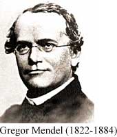 Gregor Mendel (1822-1884)