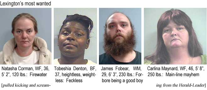 natobesh.jpg Lexington's most wanted: Natasha Corman, WF, 36, 5'2", 120 lbs, firewater; Tobeshia Denton, BF, 37, heightless, weightless, feckless; James Fobear, WM, 29, 6'3", 230 lbs, forbore being a good boy; Carlina Maynard, WF, 46, 5'8", 250 lbs, main-line mayhem (pulled kicking and screaming from the Herald-Leader)