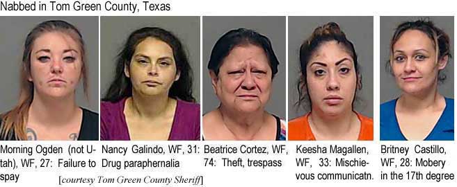 ogalindo.jpg Nabbed in Tom Green County, Texas: Morning Ogden (not Utah), WF, 27, failure to spay; Nancy Galindo, WF, 31, drug paraphernalia; Beatrice Cortez, WF, 74, theft, trespass; Keesha Magallen, 33, mobery; Britney Castillo, WF, 37, mobery in the 17th degree (county sheriff)