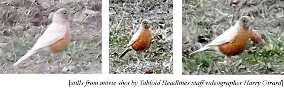 stills made from movie shot by Tabloid Headlines staff photographer Harry Girard