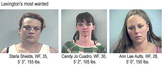 Lexington's most wanted Starla Shields, WF, 35, 5'3", 155 lbs, Candy Jo Cuadro, WF, 30, 5'2", 105 lbs, Ann Lee Aults, WF, 28, 5'0", 150 lbs (Herald-Leader)