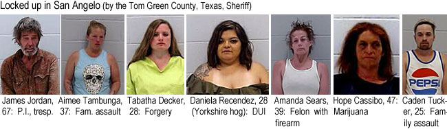 tambunga.jpg Locked up in San Angelo (by the Tom Green County, Texas, Sheriff): James Jordan, 67, P.I., tresp.; Aimee Tambunga, 37, fam. assault; Tabatha Decker, 28, forgery;Daniela Recendez, 28 (Yorkshire hog), DUI; Amanda Sears, 39, felon with firearm; Hope Cassibo, 47, marijuana; Caden Tucker, 25, family assault