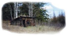 trapline cabin