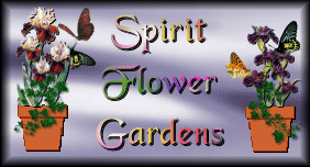 Return to the Spirit Flower Garden Webring