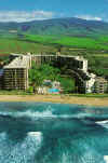 maui_hotel.jpg (39153 bytes)