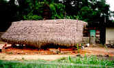 suriname carvings shack.jpg (56706 bytes)