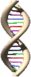 01_21_t.gif (21371 bytes)
