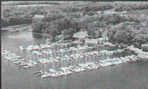 Aerial View of the Marina