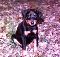 Ty Doby at 6 weeks old