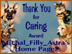 Cosmic Caring Award