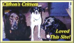 Clifton's Critters Loved This Site Award