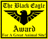 Black Eagle Award