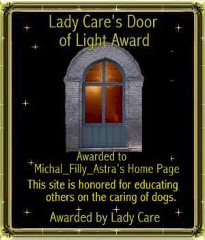 Lady Care's Door of Light Award