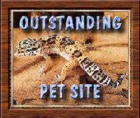 Outstanding Pet Site Award