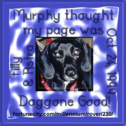 Murphy's Doggone Good Animal Award