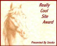 Smoko's Cool Site Award