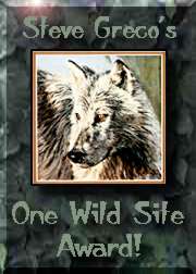 Steve Grego's One Wild Site Award