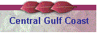 Central Gulf Coast