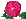 morninggloryfall.gif (747 bytes)