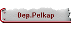 Dep.Pelkap