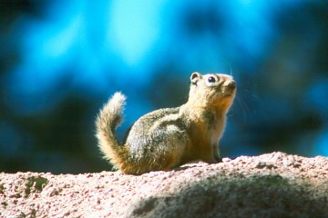 This image was taken close to Dillon Lake in Summit county Colorado