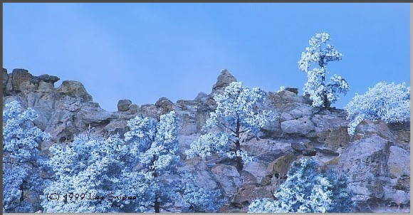 Palmer Park in Colorado Springs, Colorado