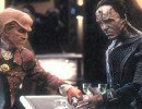 Damar and Quark