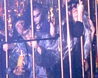 Keith Kozel in a cage of hot horny bitches!