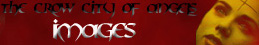 COA Images Banner