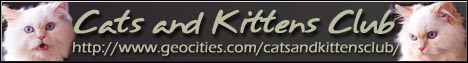 My Yahoo Cats and Kittens Group Homepage (that I belong to) Banner