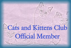 My Yahoo Cats and Kittens Group (that I belong to) Banner
