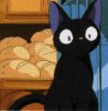Adopted Jiji from Kiki's Delivery Service