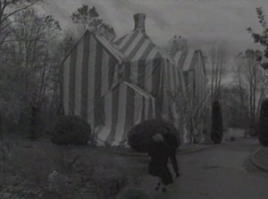 Mulder runs off to investigated a tented house. Obviously, he never considered that the gas inside the house could be harmful and that protective personal equipment might be necessary.