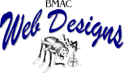 title1.gif (9346 bytes)