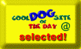 Cool DOG Site of The Day