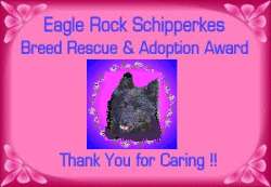Eagle Rock Schipperkes Rescue Award