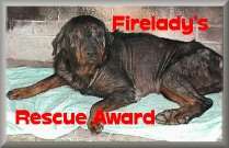 Firelady's Rescue Award